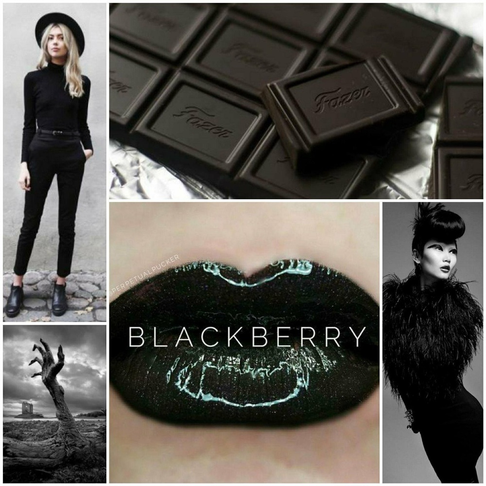 🟠 LipSense BlackBerry Lip Color